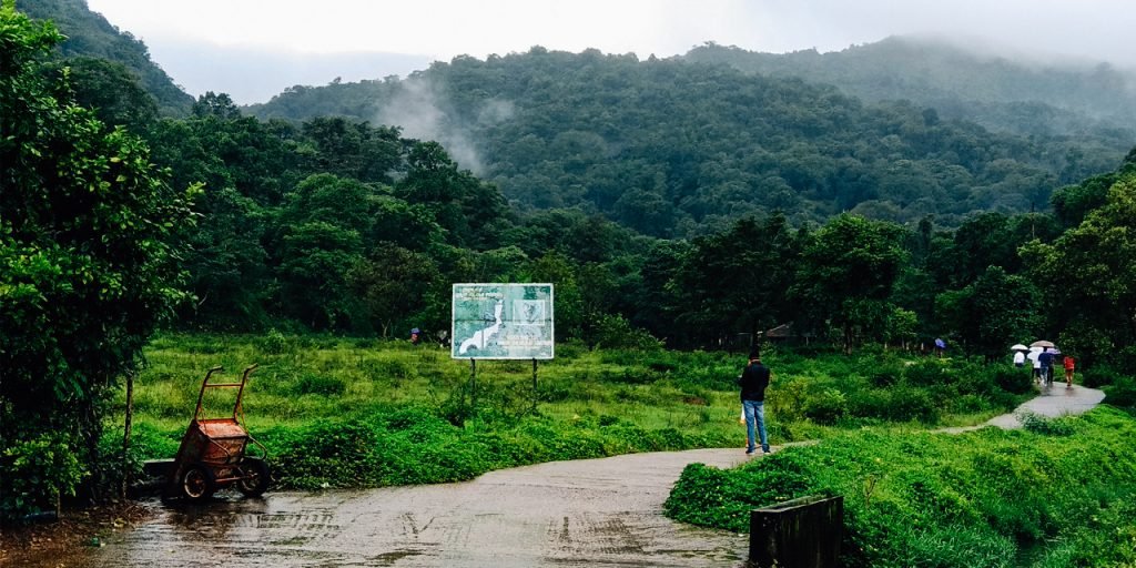 Coorg-irpufalls-asweride